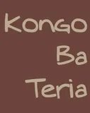 Imagem de Kongo Ba Teria