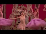 Imagem de Nutcracker│NEW YORK CITY BALLET │2011