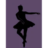 Imagem de Conservatory Classical Ballet