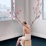 Imagem de Sidra Bell Dance