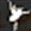 Imagem de For Ballet Lovers Only