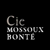 Imagem de Cie. Mossoux-Bonté